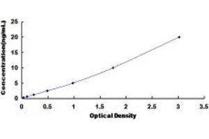 Typical standard curve (KLC1 ELISA Kit)