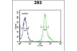 Flow cytometric analysis of 293 cells (right histogram) compared to a negative control cell (left histogram). (Tetraspanin 3 antibody  (AA 90-117))