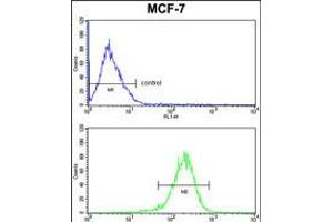 Flow cytometric analysisof MCF-7 cells (bottom histogram) compared to a negative control cell (top histogram).