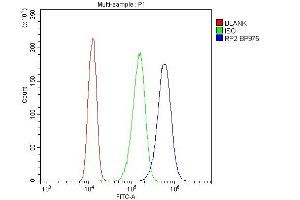 Flow Cytometry analysis of A431 cells using anti-RP2 antibody (ABIN6719513). (RP2 antibody  (AA 244-348))