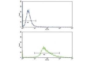 Flow cytometric analysis of MDA-MB468 cells using WNT4 antibody (green) compared to a negative control (blue). (WNT4 antibody  (AA 211-239))