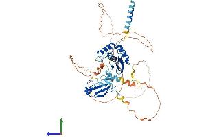 AlphaFold protein structure predicition of Human Recombinant SPRTN Protein, UniprotID Q9H040 (Spartan Protein (AA 1-489) (His tag))