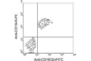 Flow Cytometry (FACS) image for anti-CD32/CD16 (CD32/CD16) antibody (FITC) (ABIN370921) (CD32/CD16 antibody  (FITC))