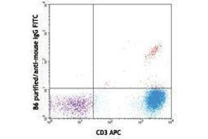 Flow Cytometry (FACS) image for anti-TCR, V delta 2 antibody (ABIN2665403) (TCR, V delta 2 antibody)