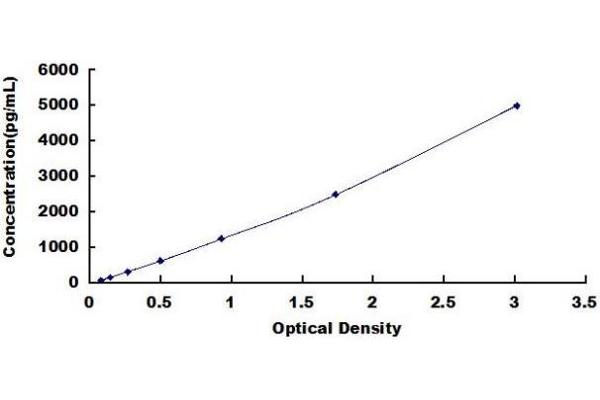 DNASE1 ELISA Kit