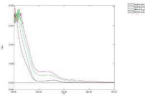 Image no. 1 for Asymmetrical Dimethylarginine (ADMA) peptide (BSA) (ABIN5665945) (Asymmetrical Dimethylarginine (ADMA) peptide (BSA))