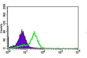 Flow cytometric analysis of HepG2 cells using MRPL42 mouse mAb (green) and negative control (purple). (MRPL42 antibody  (AA 10-142))