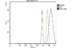 anti-Mitochondrial Ribosomal Protein S18B (MRPS18B) (AA 23-211) antibody