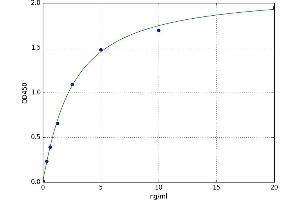Elastase 3B, Pancreatic (ELA3B) ELISA Kit
