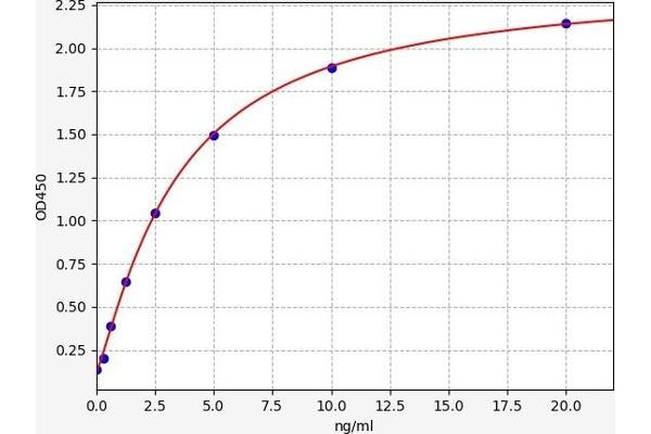 SLC30A8 ELISA Kit