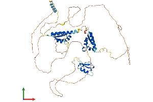 AlphaFold protein structure predicition of Mouse Recombinant Mex3b Protein, UniprotID Q69Z36