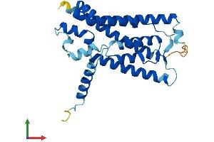 Protein Structure (PS) image for Nurim (Nuclear Envelope Membrane Protein) (NRM) (AA 1-262) protein (His tag) (ABIN7559800)
