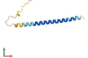 AlphaFold protein structure predicition of Human Recombinant CATR1 Protein, UniprotID Q13166 (CATR1 Protein (AA 1-79) (Fc Tag))
