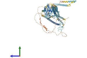 AlphaFold protein structure predicition of Human Recombinant KIF4B Protein, UniprotID Q2VIQ3 (KIF4B Protein (AA 1-1234) (His tag))