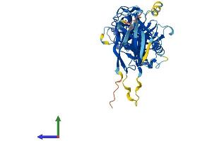 Protein Structure (PS) image for Inositol Polyphosphate-5-Phosphatase K (INPP5K) (AA 1-448) protein (His tag) (ABIN7548502)