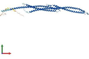 Protein Structure (PS) image for Tektin 4 (TEKT4) (AA 1-447) protein (His tag) (ABIN7556973)