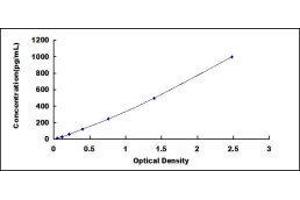 Cytokine Receptor-Like Factor 1 (CRLF1) ELISA Kit