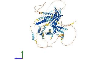 AlphaFold protein structure predicition of Human Recombinant CC2D1B Protein, UniprotID Q5T0F9