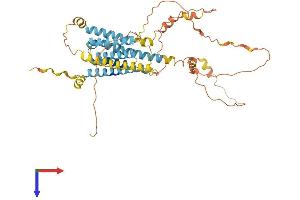 Transmembrane Protein 44 (TMEM44) (AA 1-475) protein (His tag)
