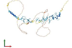 Protein Structure (PS) image for Wilms Tumor 1 Interacting Protein (WTIP) (AA 1-430) protein (His tag) (ABIN7556032)