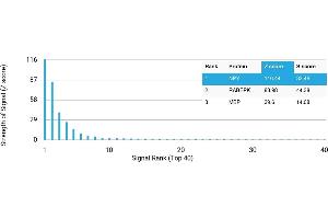 Protein Array (PAr) image for anti-Neuropeptide Y (NPY) antibody (ABIN7456172) (NPY antibody)