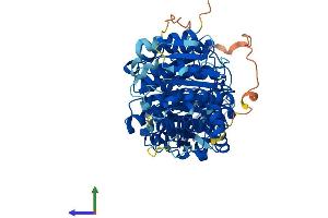AlphaFold protein structure predicition of Human Recombinant HDAC10 Protein, UniprotID Q969S8