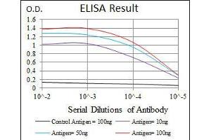 Black line: Control Antigen (100 ng), Purple line: Antigen(10 ng), Blue line: Antigen (50 ng), Red line: Antigen (100 ng), (FZD5 antibody  (AA 151-217))