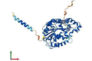 AlphaFold protein structure predicition of Mouse Recombinant Chst5 Protein, UniprotID Q9QUP4