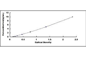 Typical standard curve (ROCK2 ELISA Kit)