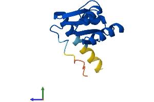AlphaFold protein structure predicition of Human Recombinant RPL30 Protein, UniprotID P62888 (RPL30 Protein (AA 1-115) (His tag))