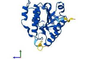 AlphaFold protein structure predicition of Mouse Recombinant Isoc2a Protein, UniprotID P85094 (Isoc2a Protein (AA 1-206) (His tag))