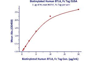 Image no. 1 for B and T Lymphocyte Associated (BTLA) (AA 31-134) (Active) protein (Fc Tag,AVI tag,Biotin) (ABIN4949010)