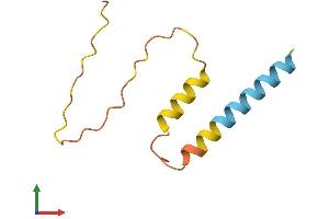 AlphaFold protein structure predicition of Human Recombinant BCE1 Protein, UniprotID O60756 (TLE4 Protein (AA 1-84) (Fc Tag))