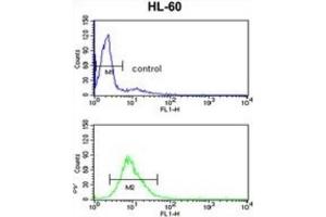 Flow Cytometry (FACS) image for anti-Exosome Component 8 (EXOSC8) antibody (ABIN3001629) (EXOSC8 antibody)