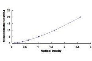 NADPH Oxidase 4 (NOX4) ELISA Kit