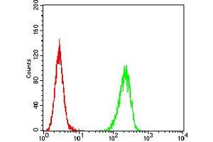 Flow cytometric analysis of Hela cells using ADORA2A mouse mAb (green) and negative control (red). (Adenosine A2a Receptor antibody  (AA 274-412))