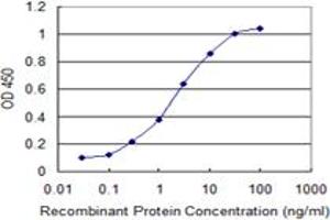 Detection limit for recombinant GST tagged CHST12 is 0.