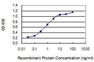 Detection limit for recombinant GST tagged CORT is 0. (CORT antibody  (AA 1-155))