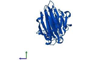 AlphaFold protein structure predicition of Mouse Recombinant Pir Protein, UniprotID Q9D711