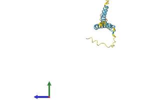 AlphaFold protein structure predicition of Human Recombinant TMEM88B Protein, UniprotID A6NKF7 (TMEM88B Protein (AA 1-163) (His tag))