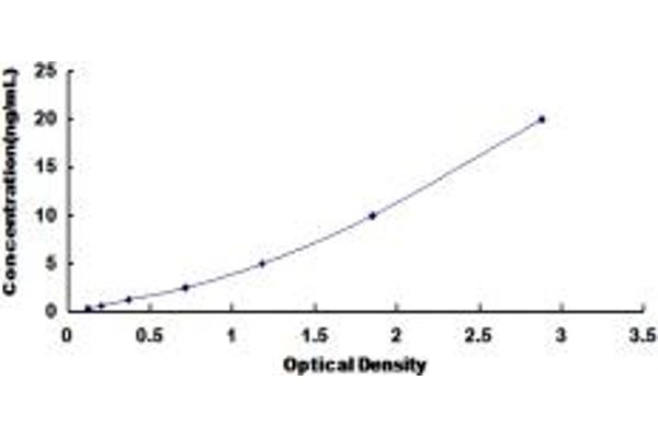 POT1 ELISA Kit