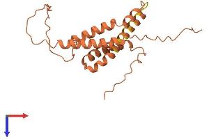 AlphaFold protein structure predicition of Human Recombinant IDI2-AS1 Protein, UniprotID Q9NZ38 (IDI2-AS1 Protein (AA 1-188) (His tag))