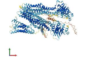 Protein Structure (PS) image for ATP-Binding Cassette, Sub-Family C (CFTR/MRP), Member 3 (ABCC3) (AA 1-1527) protein (His tag) (ABIN7554623)