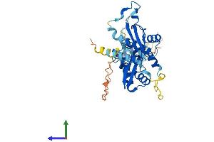 AlphaFold protein structure predicition of Human Recombinant SMARCB1 Protein, UniprotID Q12824 (SMARCB1 Protein (AA 1-385) (His tag))