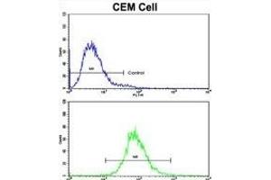 Flow cytometric analysis of CEM cells using CD36 Antibody (Center)(bottom histogram) compared to a negative control cell (top histogram). (CD36 antibody  (AA 213-242))