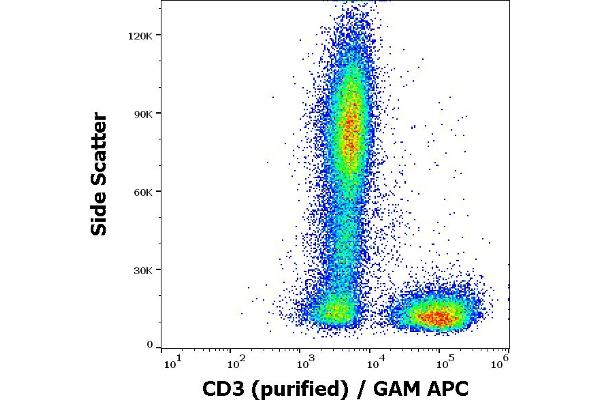 CD3 antibody