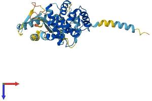AlphaFold protein structure predicition of Mouse Recombinant Oas1b Protein, UniprotID Q60856 (OAS1B Protein (AA 1-376) (His tag))