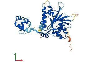 Protein Structure (PS) image for RAD51 Homolog D (RAD51D) (AA 1-329) protein (His tag) (ABIN7562499)