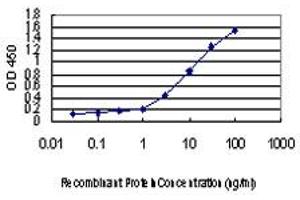 Detection limit for recombinant GST tagged IKBKAP is approximately 0. (IKAP/p150 antibody  (AA 1242-1331))