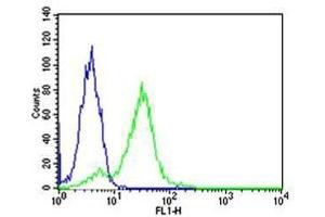 Flow cytometric analysis of HeLa cells using RPS6 antibody (green) and an isotype control of mouse IgG1 (blue); Ab was diluted at 1:25 dilution. (RPS6 antibody)